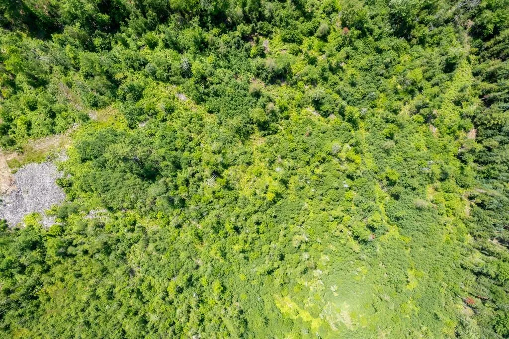Lot #3 Benson Lane Levant ME 04456