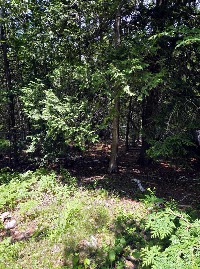 123 Cedar Street Millinocket ME 04462
