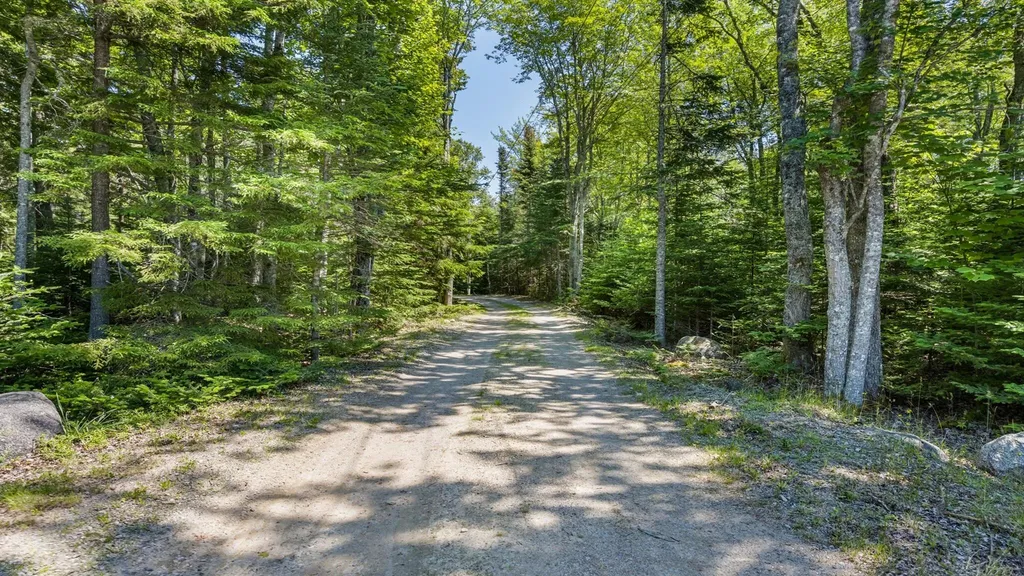 524 Rays Point Road Milbridge ME 04658