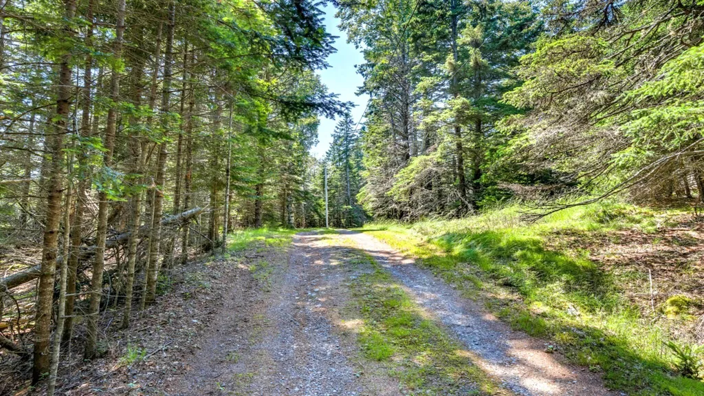 524 Rays Point Road Milbridge ME 04658