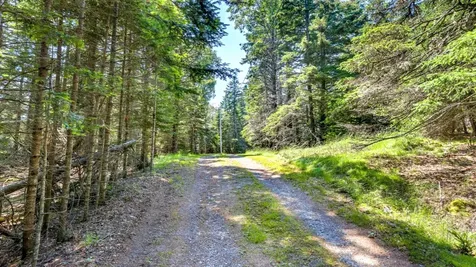 524 Rays Point Road Milbridge ME 04658