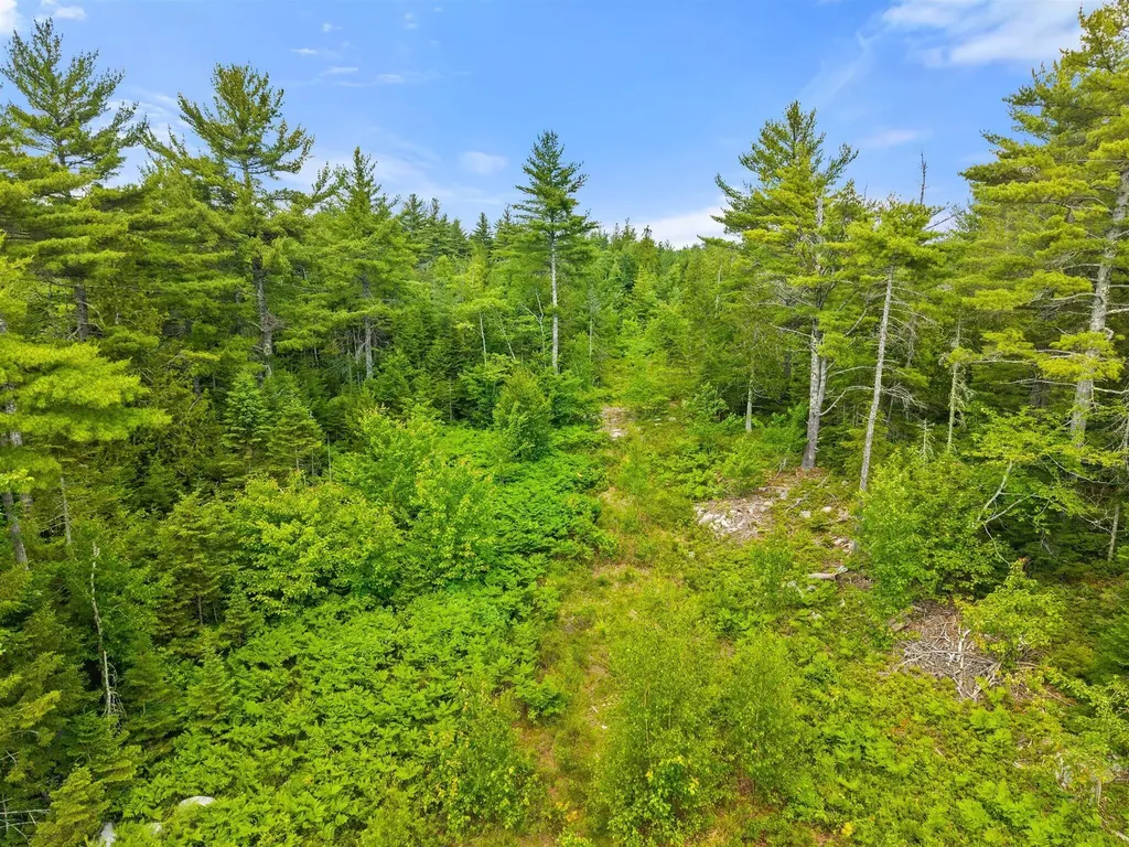 0 Catamount Road Sullivan ME 04664