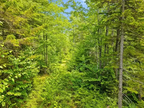0 Catamount Road Sullivan ME 04664