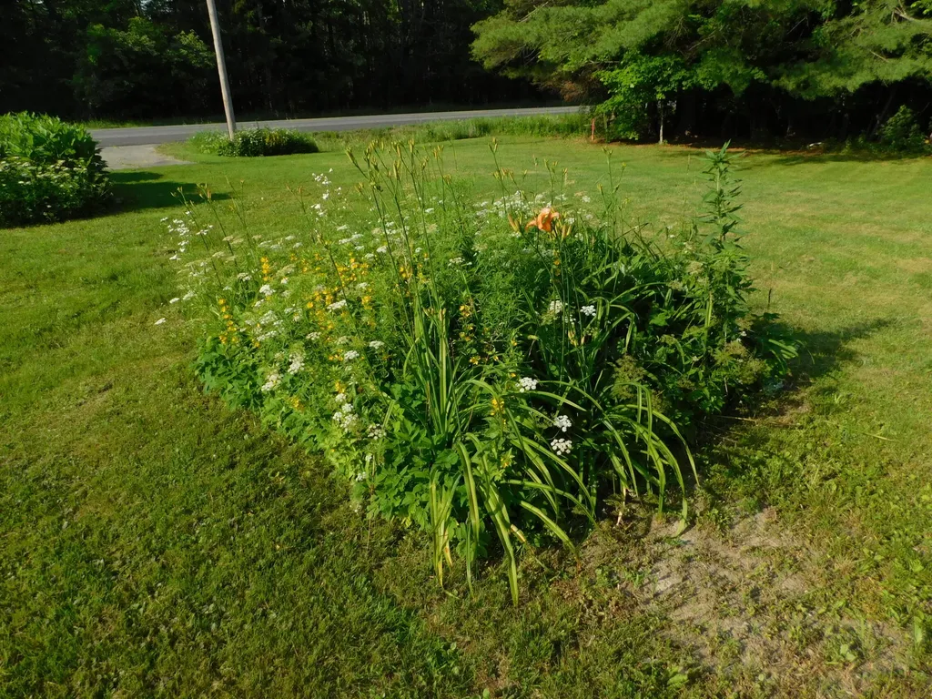 411 White School House Road Madison ME 04950