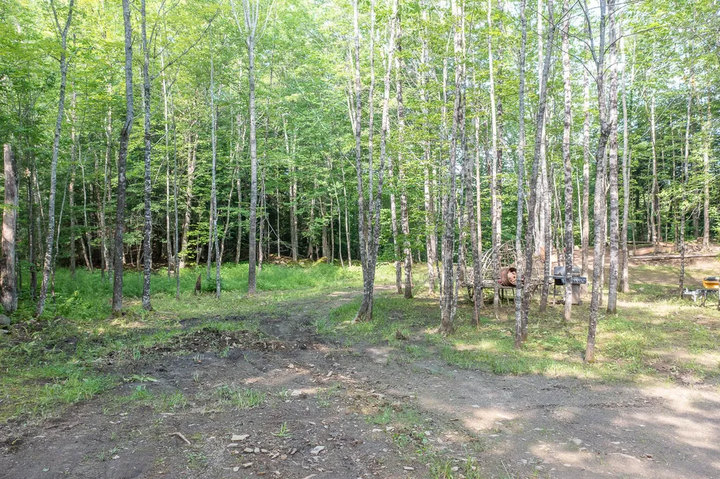 156 Mayfield Road Moscow ME 04920