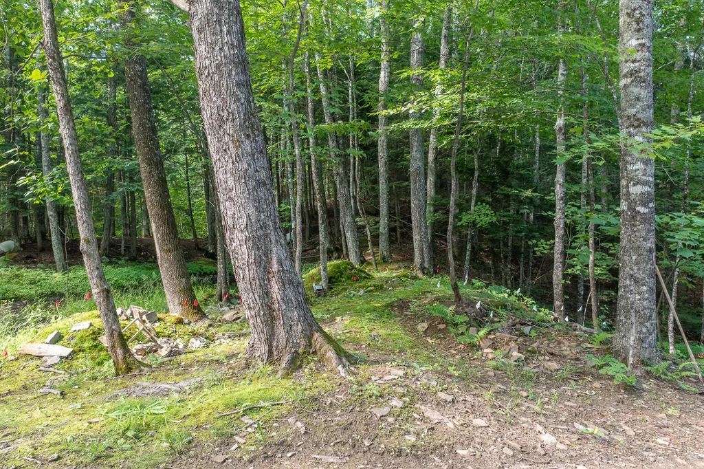 156 Mayfield Road Moscow ME 04920