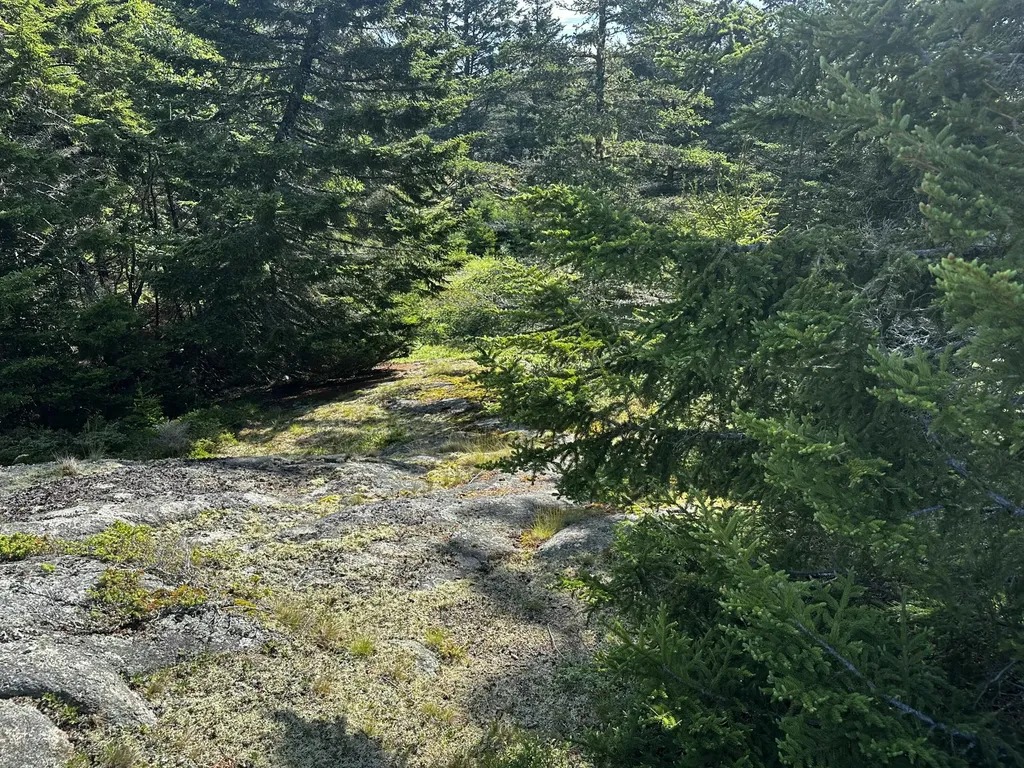 234 Harbor Road Swans Island ME 04685