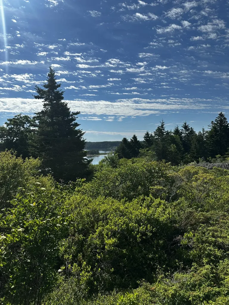234 Harbor Road Swans Island ME 04685