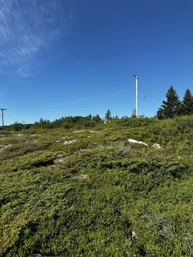 234 Harbor Road Swans Island ME 04685