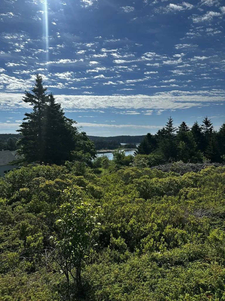 234 Harbor Road Swans Island ME 04685
