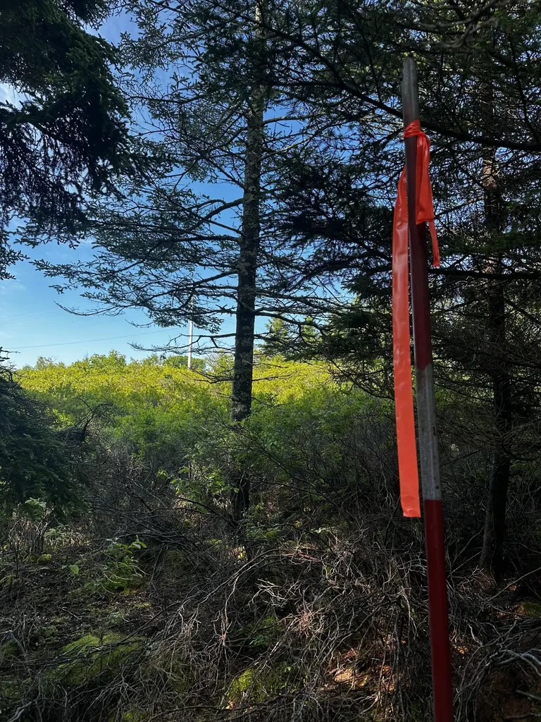 234 Harbor Road Swans Island ME 04685