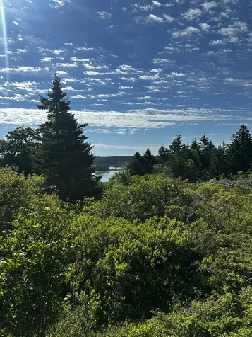 234 Harbor Road Swans Island ME 04685