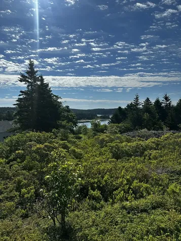 234 Harbor Road Swans Island ME 04685