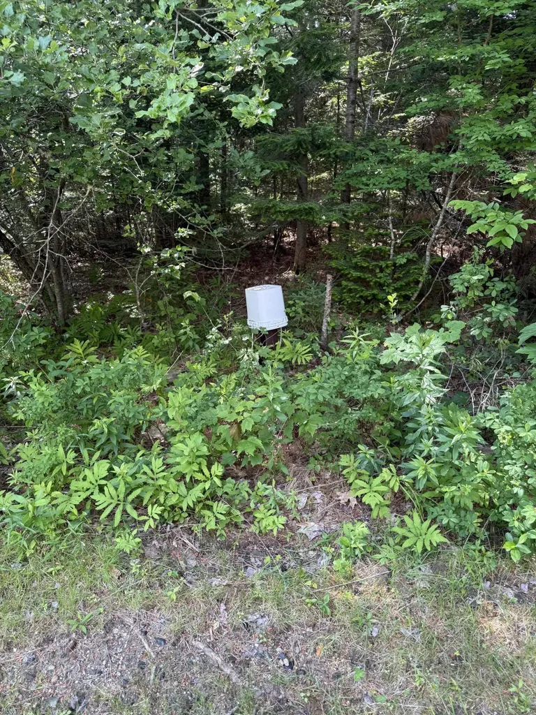 364 Goose Cove Road Trenton ME 04605