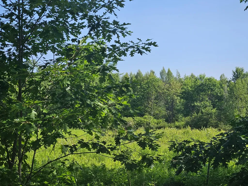 Lot 9 Lakeview Road Milo ME 04463