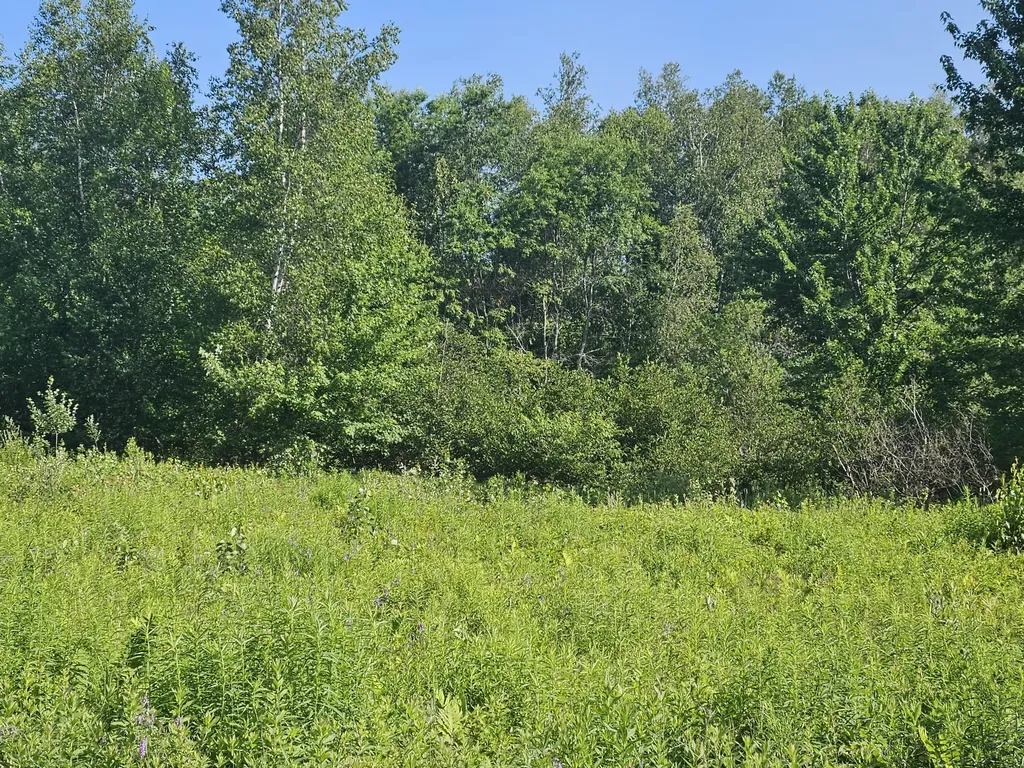 Lot 9 Lakeview Road Milo ME 04463