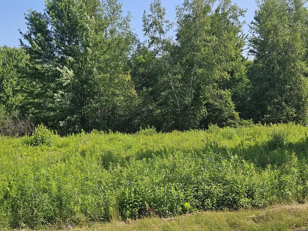 Lot 9 Lakeview Road Milo ME 04463