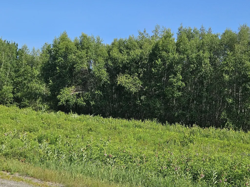Lot 9 Lakeview Road Milo ME 04463