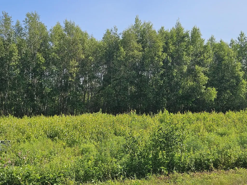 Lot 9 Lakeview Road Milo ME 04463