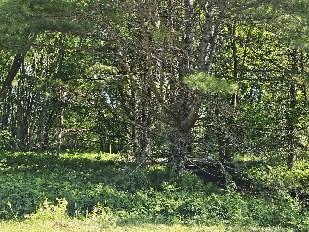 Lot 9 Lakeview Road Milo ME 04463