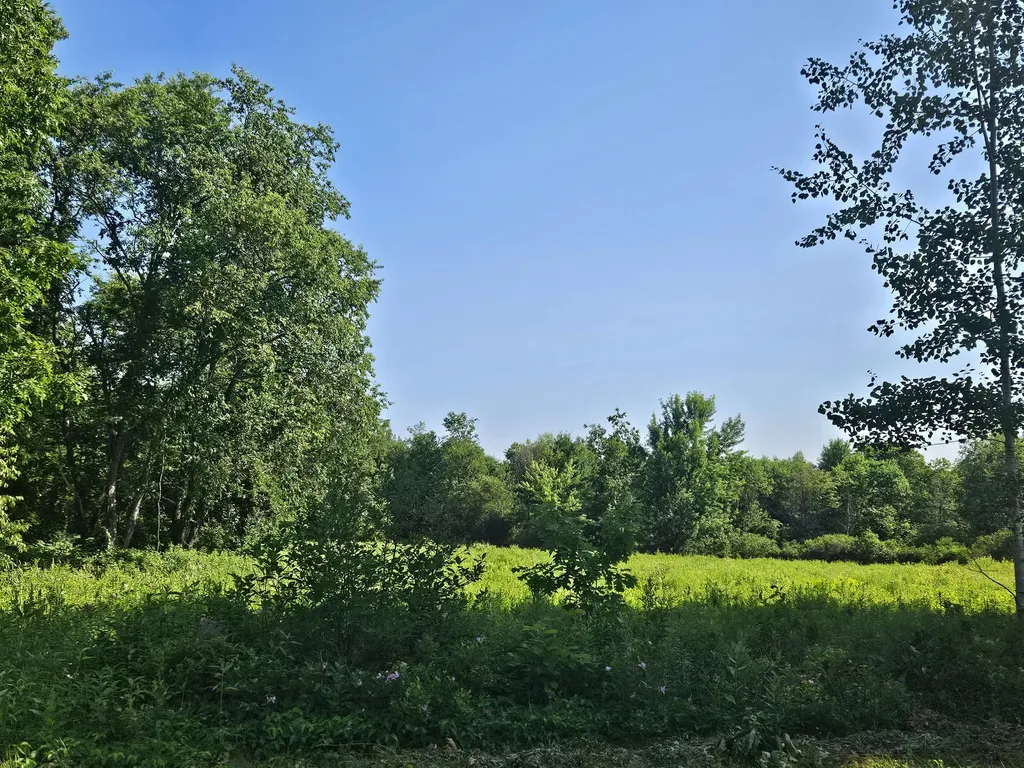 Lot 9 Lakeview Road Milo ME 04463
