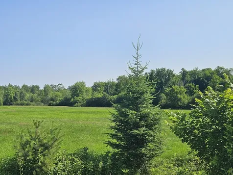 Lot 9 Lakeview Road Milo ME 04463