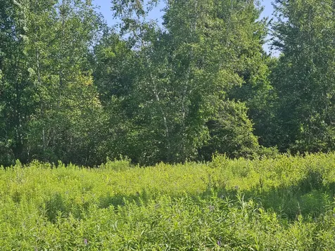 Lot 9 Lakeview Road Milo ME 04463