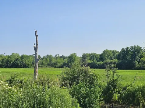 Lot 9 Lakeview Road Milo ME 04463