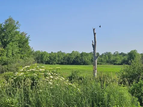 Lot 9 Lakeview Road Milo ME 04463