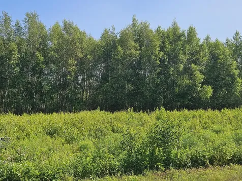 Lot 9 Lakeview Road Milo ME 04463