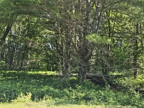 Lot 9 Lakeview Road Milo ME 04463