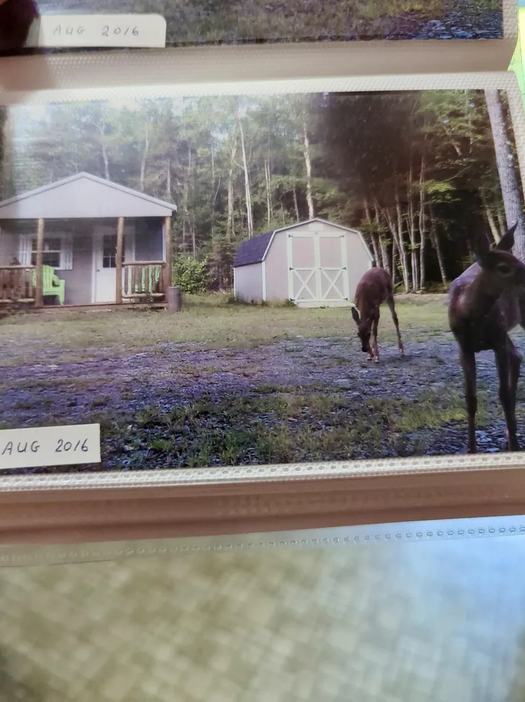 1053 Hudson Hill Road Hudson ME 04449