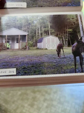 1053 Hudson Hill Road Hudson ME 04449