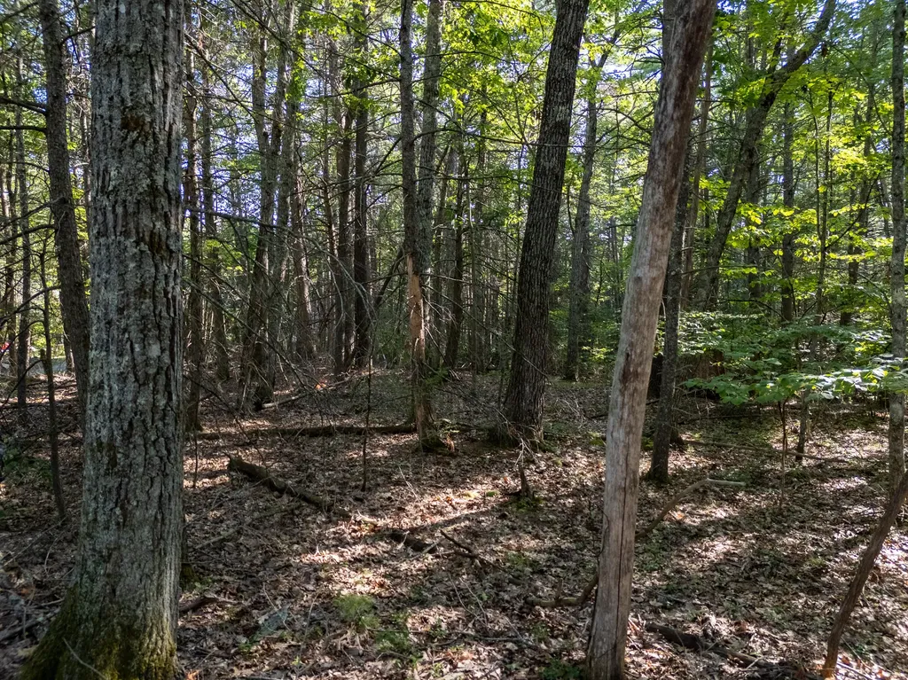 Tbd Mountain Road South Berwick ME 03908