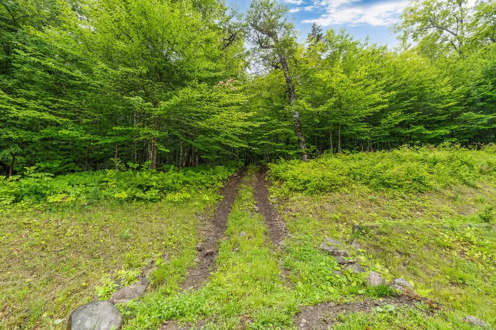 503 Sandy Beach Road Danforth ME 04424