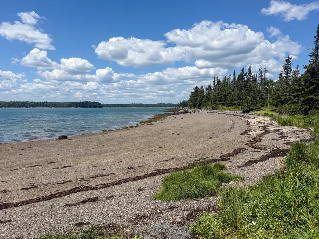 Lot 80 Yoho Head Road Machiasport ME 04655