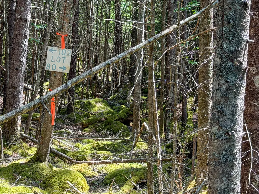 Lot 80 Yoho Head Road Machiasport ME 04655