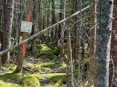 Lot 80 Yoho Head Road Machiasport ME 04655