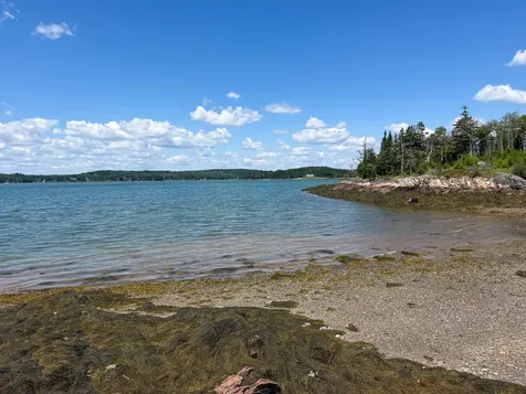 Lot 80 Yoho Head Road Machiasport ME 04655
