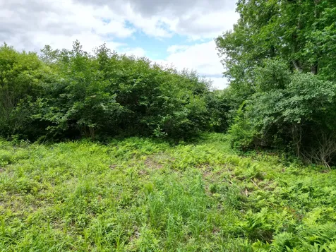 Lot 19 N Chester Road Chester ME 04457