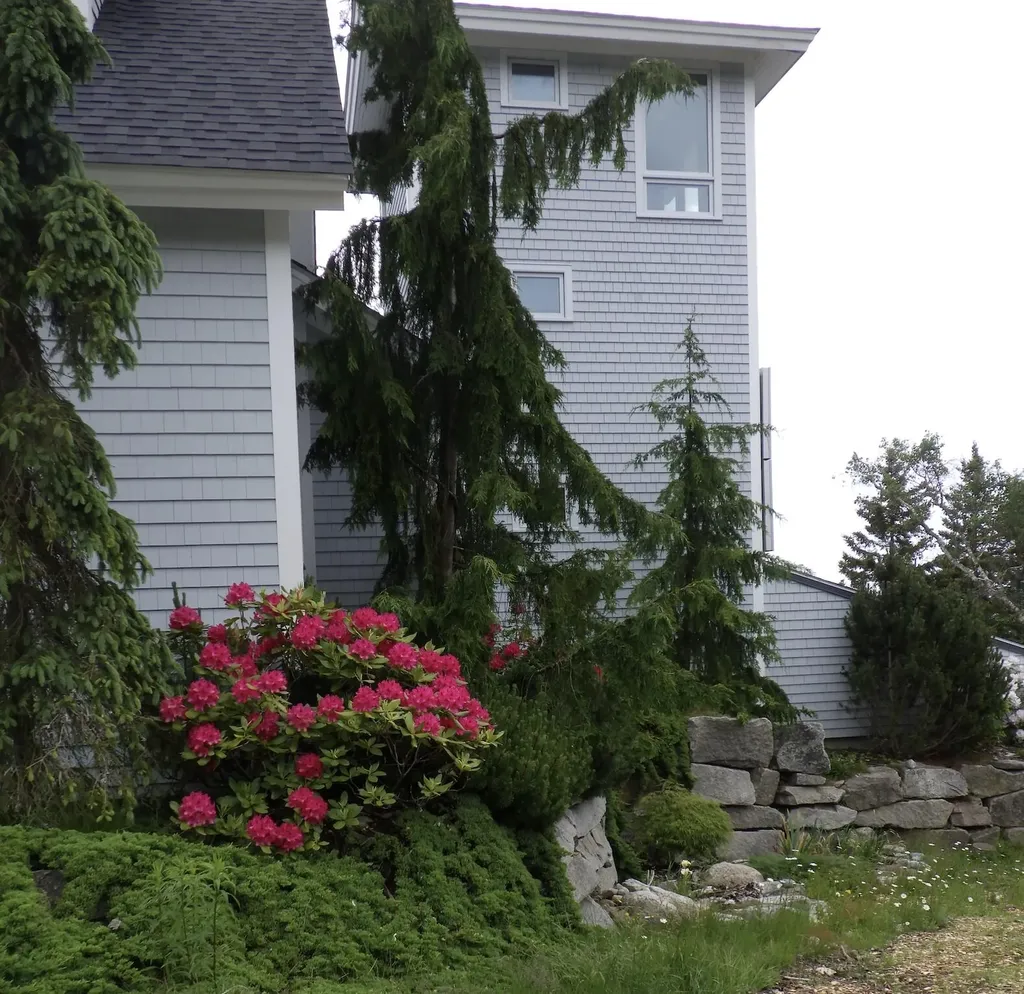 360 Red Point Road Swans Island ME 04685