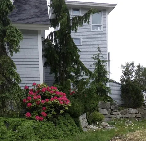 360 Red Point Road Swans Island ME 04685