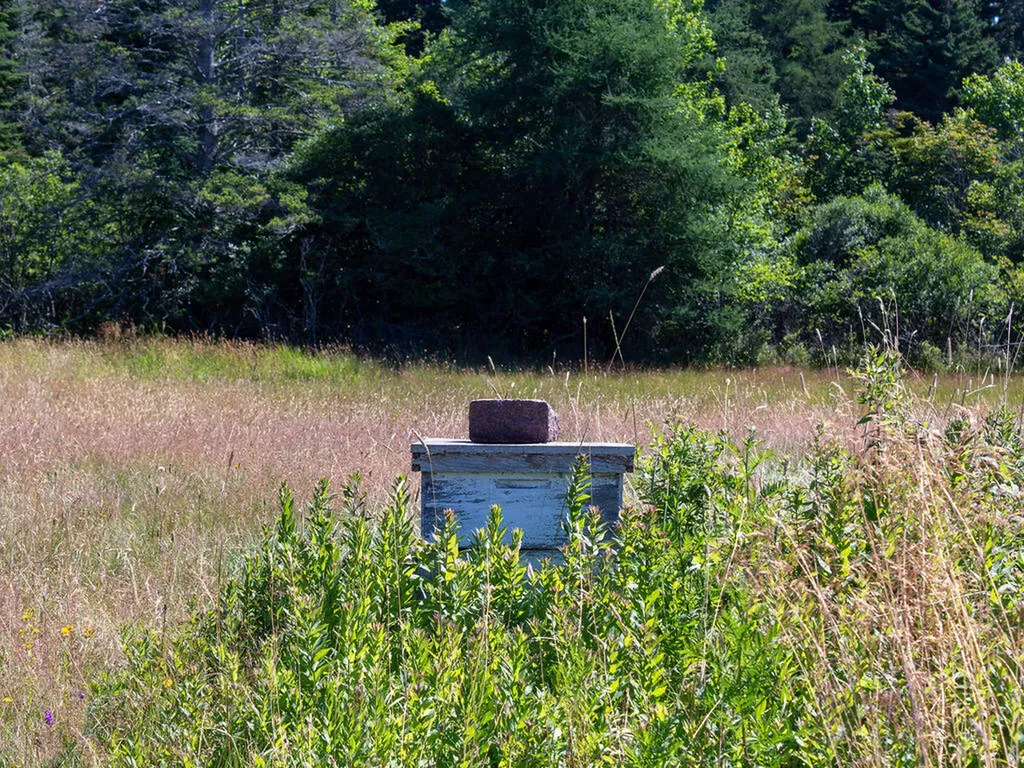 60 Pequot Road Vinalhaven ME 04863