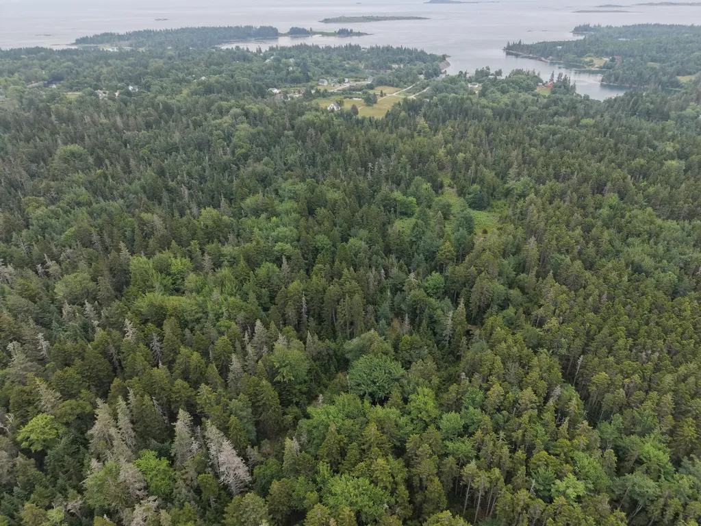 60 Pequot Road Vinalhaven ME 04863