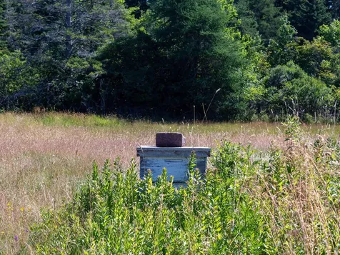 60 Pequot Road Vinalhaven ME 04863