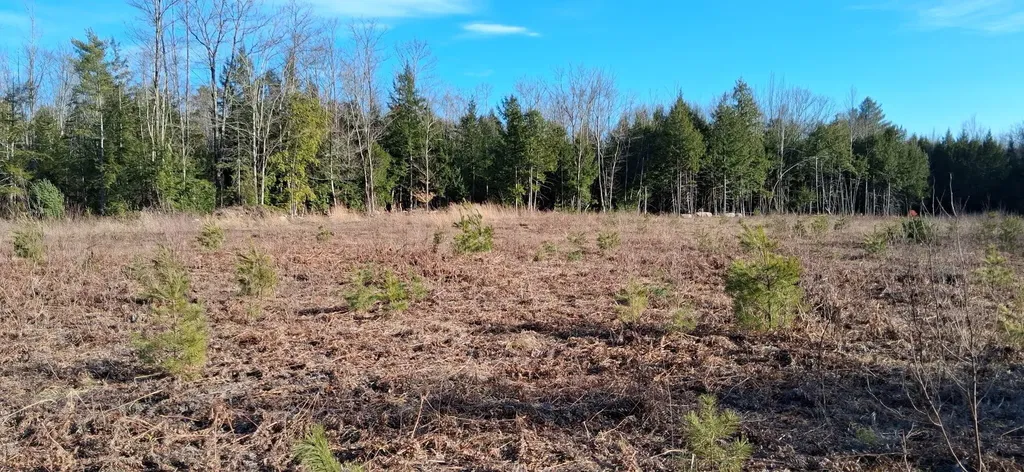 346 Bell Hill Road Otisfield ME 04270