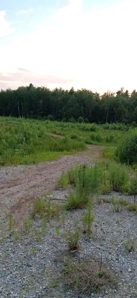 346 Bell Hill Road Otisfield ME 04270