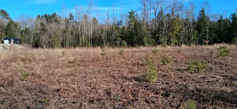 346 Bell Hill Road Otisfield ME 04270