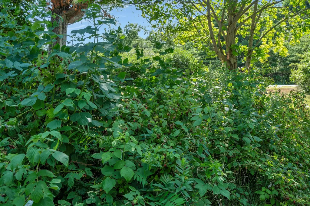 606 Main Road Phippsburg ME 04562