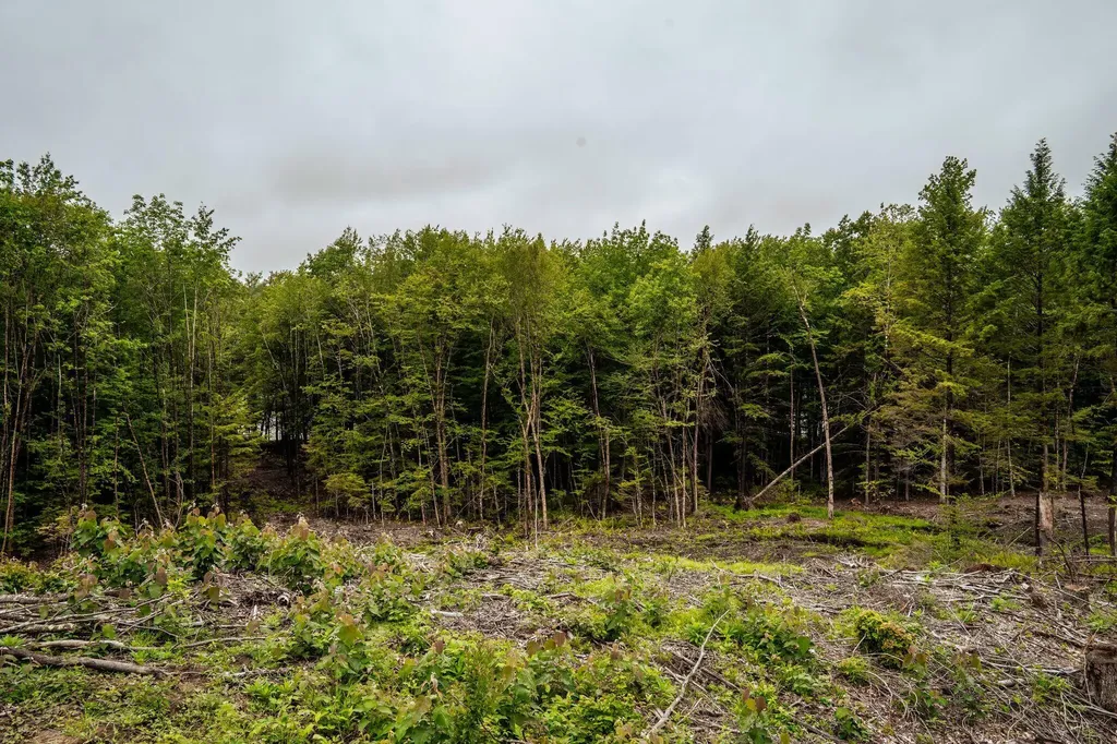 19 Sylvester Estates Drive Greene ME 04236